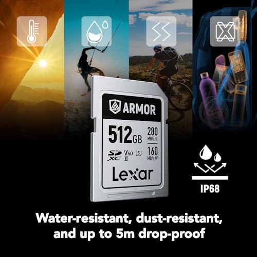 Image of Lexar 512GB Armor Silver PRO SDXC Memory Card, UHS-II, C10, U3, V60, 6K UHD, Up to 280MB /s Read, Stainless Steel, for Professional Photographer, Videographer, Enthusiast (LSDAMSP512G-RNNNU)