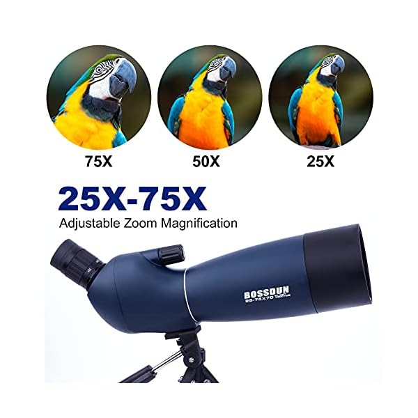 25-75x70mm Spektive mit Stativ, Telefonadapter & Tragetasche, Zoom BAK4 Prisma 45 Grad wasserdichtes Teleskop für… – Bild 3