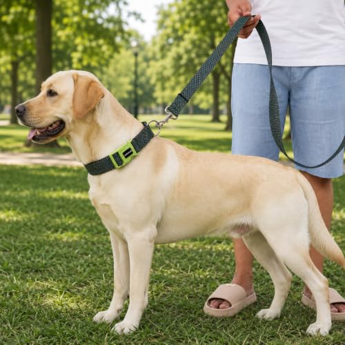 Image of Wooflix Premium Adjustable Dog Collar for Small, Medium & Large Breed Dogs | Heavy Duty Nylon Dog Neck Belt with Strong Buckle & D-Ring for Walking, Training & Daily Use (Green, Medium)