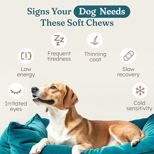 Image of PetHeal Immune Plus Chews for Dogs - Vet-Reviewed - Supports Immunity, Energy & Liver Health with Turkey Tail, Reishi & Milk Thistle | Reduces Lumps & Promotes Shiny Coat | 30 Pork-Flavored Soft Chews
