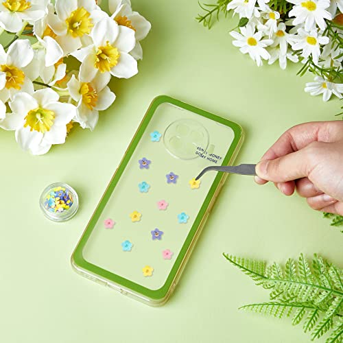 Flores secas naturales Forget Me Not para manualidades miniatura 4