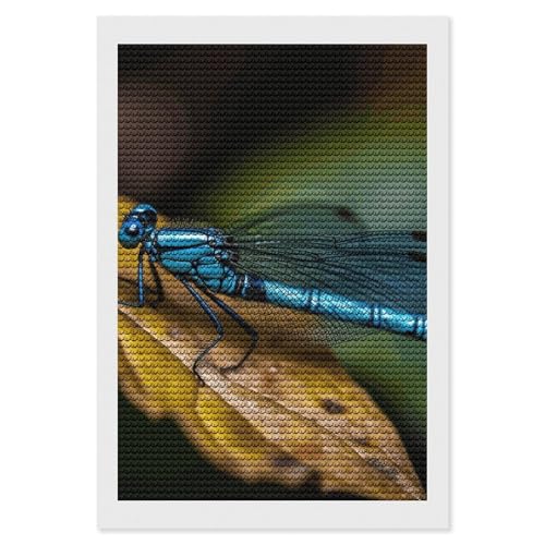 Kit art diamant libellule bleue activité anti-stress adulte débutant complet