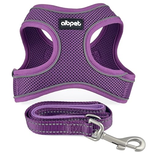 AIBPET  n[lX  (purple, XXS+)