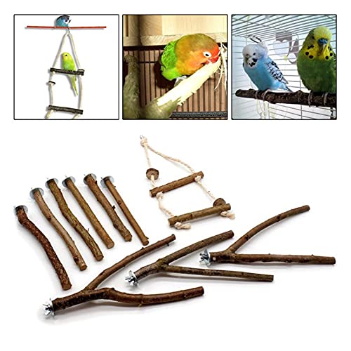 Vogelspeelgoed 10 stks Parrot Stand Rod Natural Wood Fork Paars Hanging Swing Pet Chewing Toys voor kleine parkieten… - Afbeelding 3
