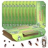 DTXDTech Schabenfalle 10er mit Lockstoff, Zum Bekämpfen von Kakerlaken, bettwanzen, silberfische, Insekten köderdose - Ungiftige & effektive Einfache Anwendung Ungeziefer Gift für Küche(10 Stück)