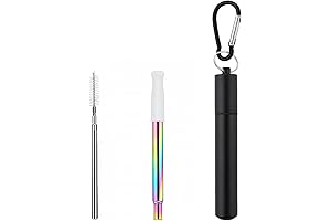 Foldable Metal Straws 2 Pack with Travel Case