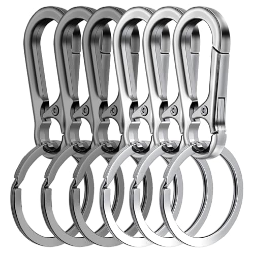 6 Pièces Mousqueton Porte Clé Porte Clef Mousquetons en Métal Porte-Clés Homme pour Sac à Dos, Voyage, Camping, Amovible, Clés de Voiture