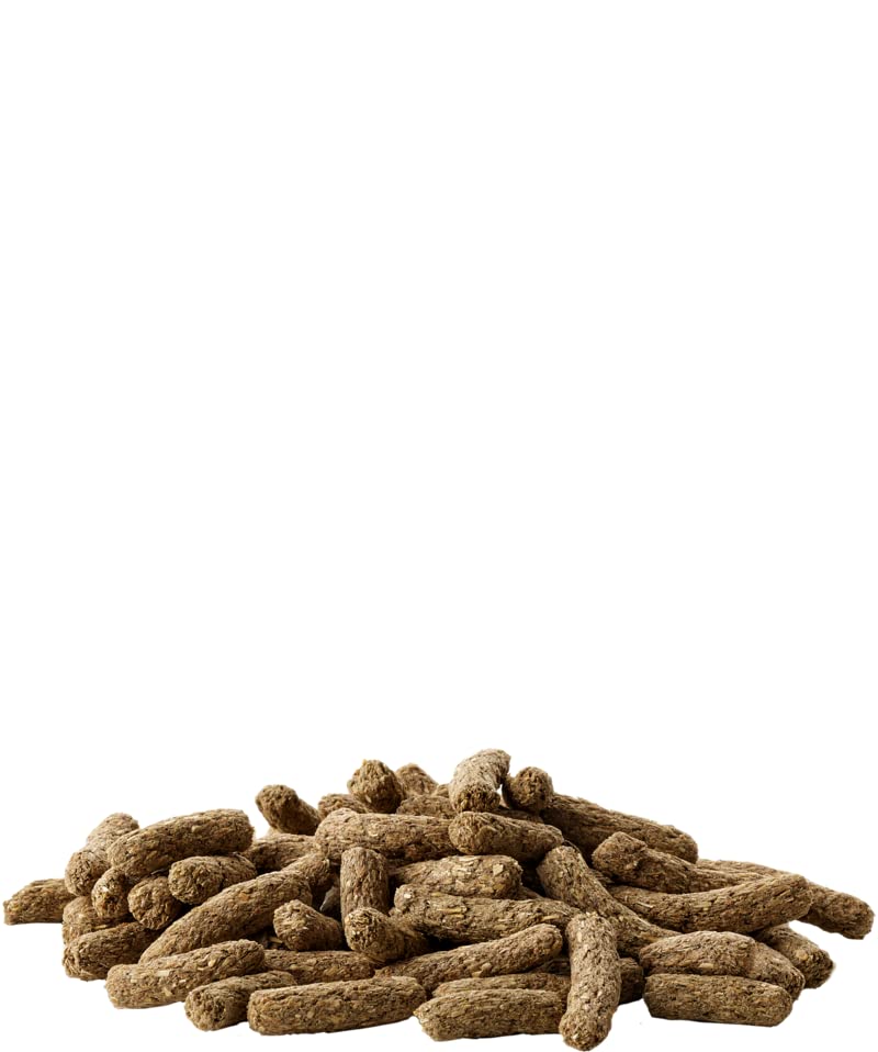Versele-Laga Complete Cavia All-in-one- Nutrition | Doppelpack | 2 x 500 g | Pellets für Meerschweinchen | enthält Timothy-Heu | angereichert mit Holunderbeeren und Kräutern