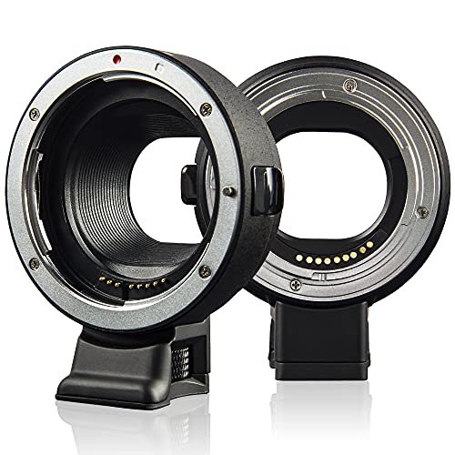 amazon.ae New Releases The bestselling new & future releases in