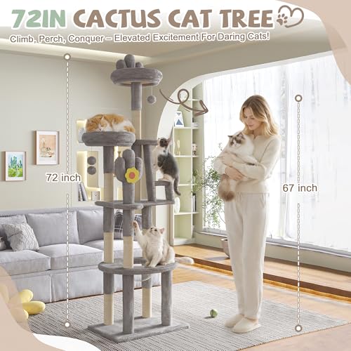 Image of 72 Inch Big Cactus Cat Tree for Indoor Cats, Cute Cat Tower with Transparent Capsule, Flower Cat Tree with Sisal Scratching Post, Multi-Level Activity Center for Kittens & Large Cats (Gray)