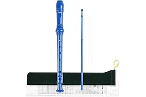 Mr.Power Soprano Recorder, a Perfect Instrument for Beginners and Musical Explorations
