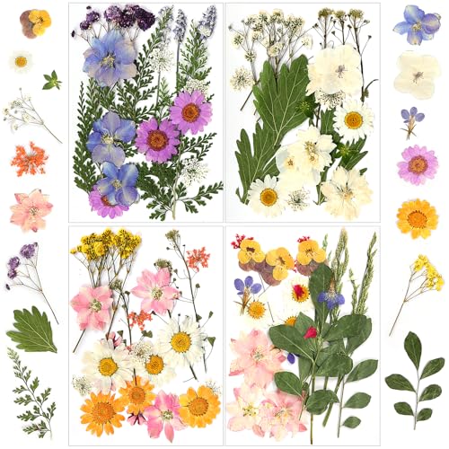 CIOXSOIO 90 Piezas Naturales Flores Prensadas Secas, Kit de Hojas Secas de Flores Auténticas, Flores Secas Decoracion para DIY Manualidades de Resina Fabricación de Joyas Scrapbook Jabón Vela
