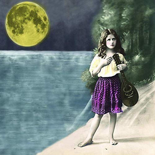 Album Art for The Big Black and The Blue (LIMITED EDITION BLUE VINYL) by First Aid Kit
