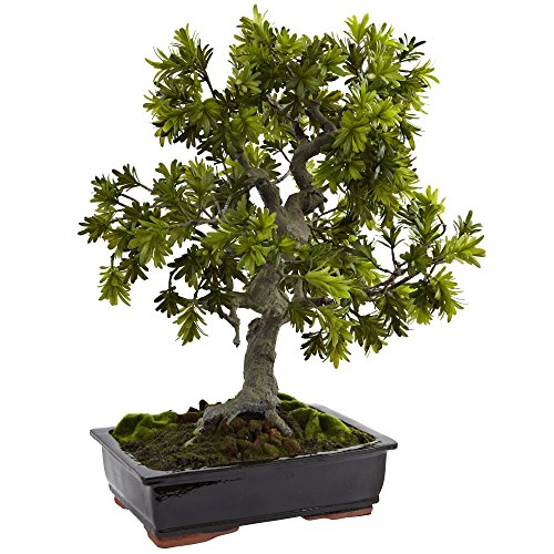 NearlyNatural 4849 Podocarpus Gigante con Maceta de bonsái musgoso