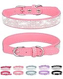 Petank Dog Collar for Small Medium Large Dogs，Small Dog Collar for Female Dogs, Bling Girl Dog Coll