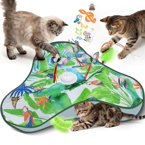 GOHHME Gioco Gatti, Giochi per Gatti in Casa Autonomo con