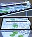 BPS® - Lampada per acquario a LED, illuminazione per piante subacquee, luce bianca e blu, 2 modelli a scelta 4 W/8 W