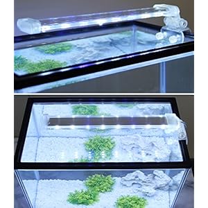 BPS® – Lampada per acquario a LED, illuminazione per piante subacquee, luce bianca e blu, 2 modelli a scelta 4 W/8 W