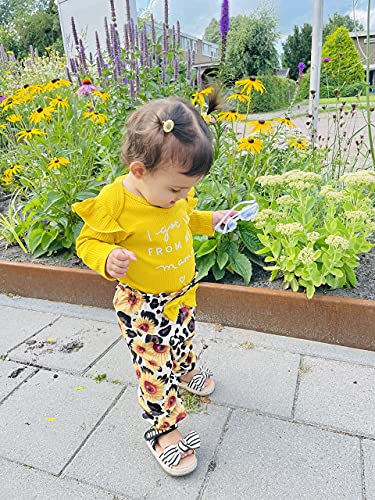Image of DISAUR Baby Girls Clothes Newborn Infant Baby Girls Outfit Long Sleeve Ruffle Romper Floral Pants Headband Sets 0-18 Months