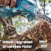 Mini Motosega da 8 Pollici, Motore Brushless Aggiornato 2026, Motosega Elettrica con 2 Batterie da 4000 mAh, Tensionamento della Catena Senza Attrezzi e Oliatore, Uso della Sega per Tagliare Alberi