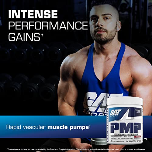 Image of GAT SPORT PMP (Peak Muscle Performance), Fruit Punch, 8.6 oz | Stim-Free Pre-Workout Powder for Workout Intensity Support, Endurance Support, and Muscle Health Support*