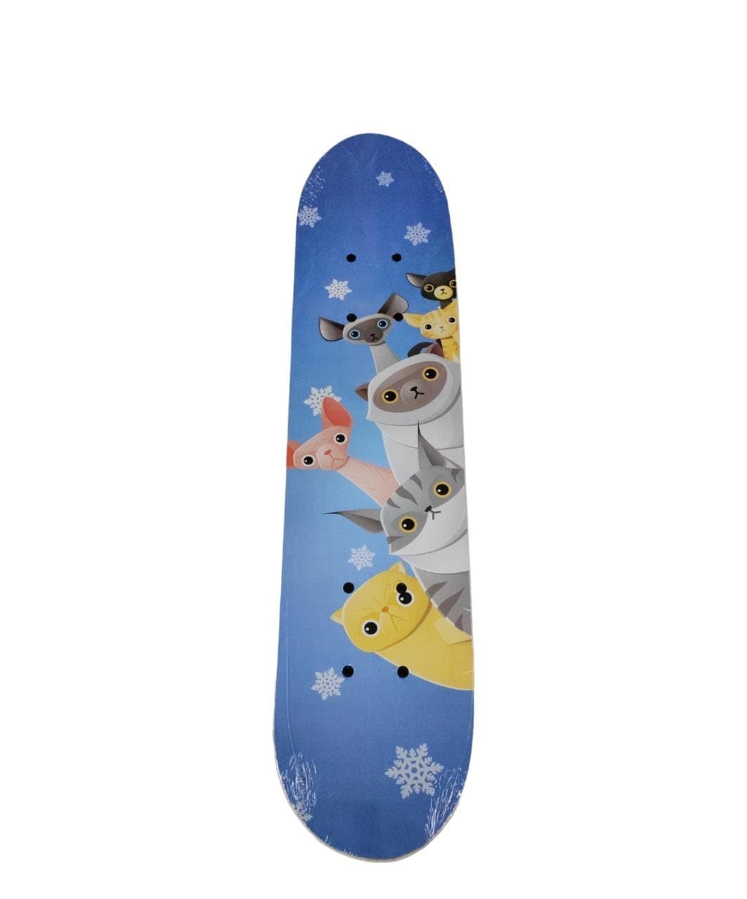 Fully Assemble 17 Inch x 5 Inch Big Size 120 Kgs Weight Capacity 5 Years Kids to 10 Years Unisex Teens to Adults Outdoor Playing Cruiser Skateboard(Multidesign)-image-20