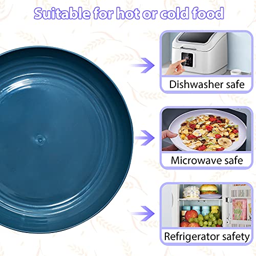 8 Pieces 10 Inch Wheat Straw Plates, Unbreakable Dinner Plates, Lightweight Straw Plates, Dishwasher & Microwave Safe , Perfect For Dinner Dishes , Healthy For Kids & Adult #TOP4