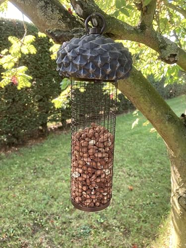 Oakdale Acorn Peanut Bird Feeder
