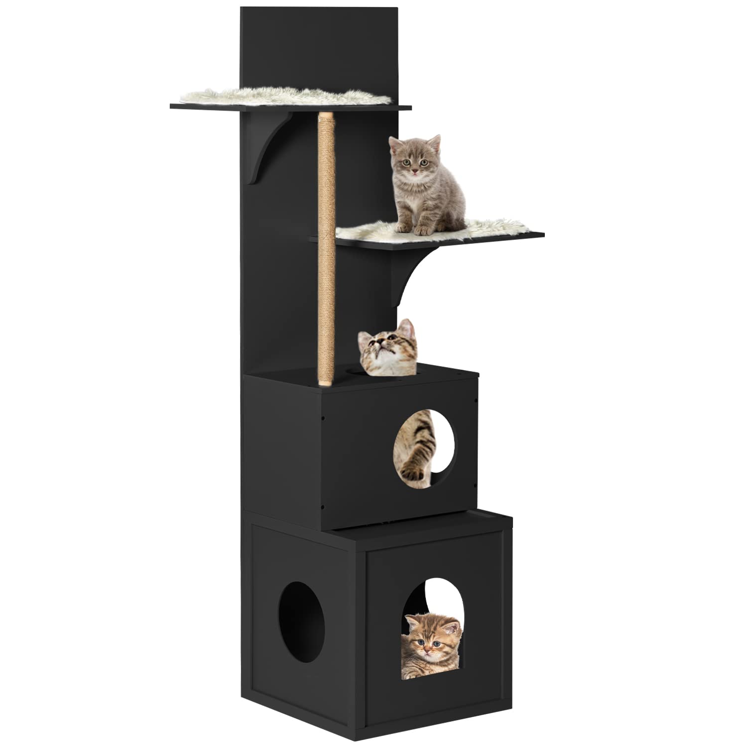 Are Willow Trees Toxic To Cats And Dogs