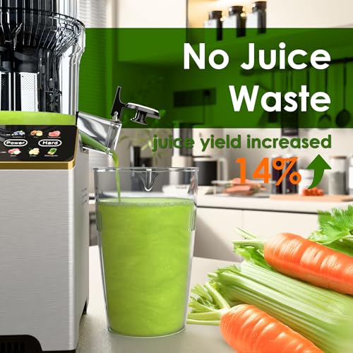 Image of Cold Press Juicer, Touchscreen Juicer Machines with Wide Feed Chute, Stainless Steel Masticating Juicers Easy to Clean, Ergonomic Operational Panel Design, High Juice Yield, Steel
