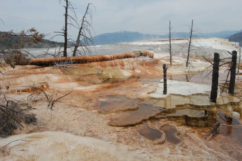 Yellowstone Treasures: The Traveler's Companion to the National Park