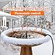lollyes 250W Vogeltränke Heizung mit Brunnen Pumpe, Beheizte Vogeltränke für Draußen für den Winter, mit Thermostatisch Gesteuert und 1M Kabel, Vogeltränke Deicer, Beheizte Vogeltränke für Garten