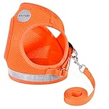Cat Harnesses and Puppy Harness with Leashes Set, Escape Proof Cat Harness, Adjustable Reflective Soft Mesh Vest Fit Puppy Kitten Rabbit Ferrets's Outdoor Harness (Orange, M, Chest: 12' - 14')