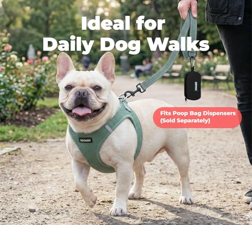 Image of Best Pet Supplies Voyager Reflective Dog Leash or Collar with Neoprene Handle, for Small, Medium, and Large Breed Puppies, Cute and Heavy Duty for Walking, Running and Training - Moss Green (Leash), M