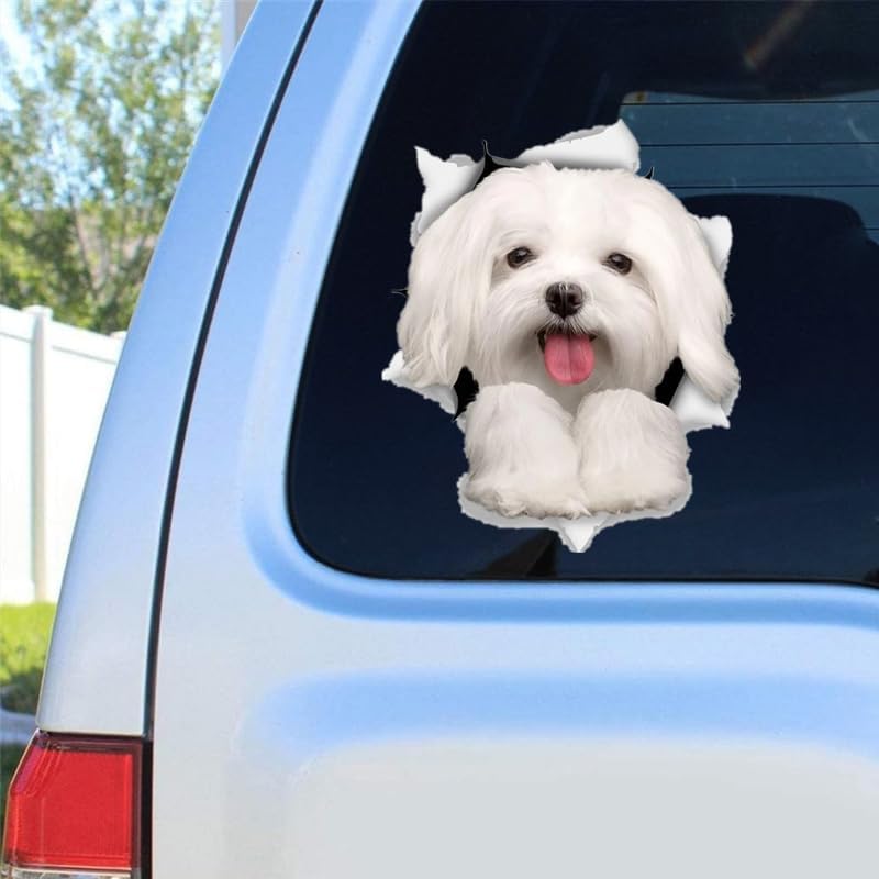 2pcs Cute White Bichon Frise Dog Vinyl Car Decal 4.92"x5.91", Lovely Dog Sticker for Car, RV, Toolbox, Refrigerator, Ideal Pet Gift |#DK220 - Image 5