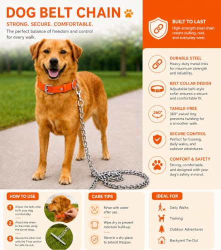 Image of RvPaws Belt Combo - Nylon Collar with 63-Inch Heavy Chain | Adjustable Pet Collar and Leash Set for Medium & Large Dogs (Orange, 1.25 Inch)