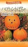【種子】 ハロウィンかぼちゃ 福花園種苗のタネ