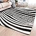 EMOSHA Large Zebra Area Rug,Modern Animal Zebra Print Floor Carpet Black and White Rug Comfortable Soft with Non-Slip Backing Ideal for Living Room Bedroom Decor 16x24inch
