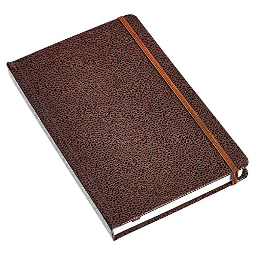 Amazon Basics Shagreen Journal, 2-Pack #TOP1