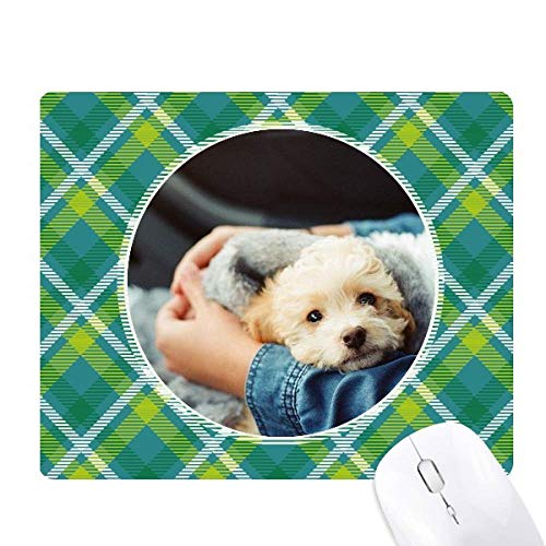 q̂킢̎ʐ^ ΂̊iq̃sNZS̃}EXpbh