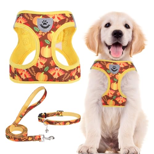 PUPTECK Adjustable Dog Harness Collar and Leash Set Step in No Pull Pet Harness for Small Medium Dogs Puppy and Cats Outdoor Walking Running, Soft Mesh Padded Reflective Vest Thanksgiving Harnesses
