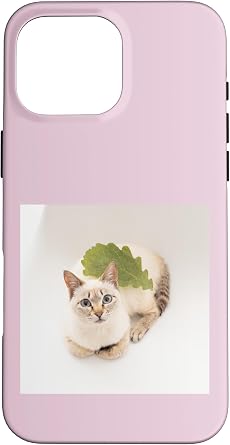 Kashiwamochi, Siamese Mix Cat Sorara_001 Case for iPhone 16 Pro Max