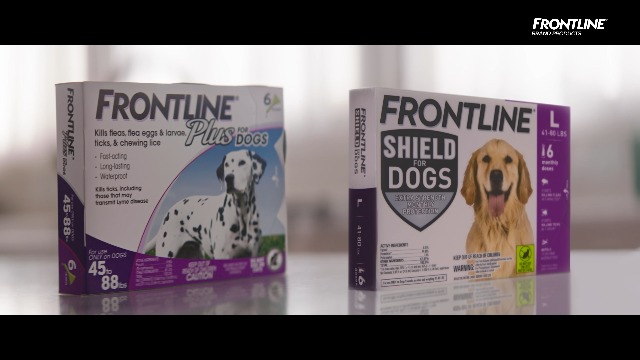 frontline plus for dogs 8 doses
