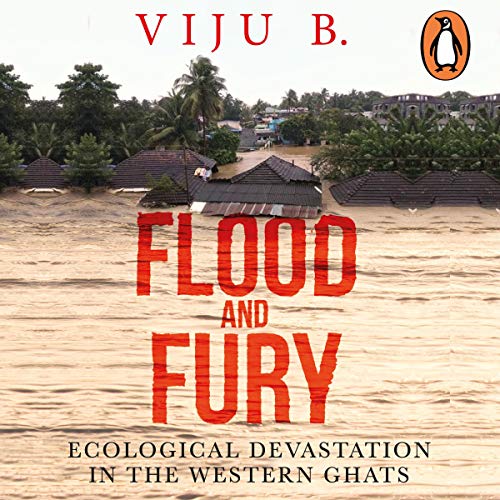 Flood and Fury by Viju B episode artwork