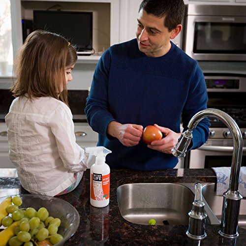 Better-Life-Natural-Fruit-and-Vegetable-Wash-16-Ounces-24143