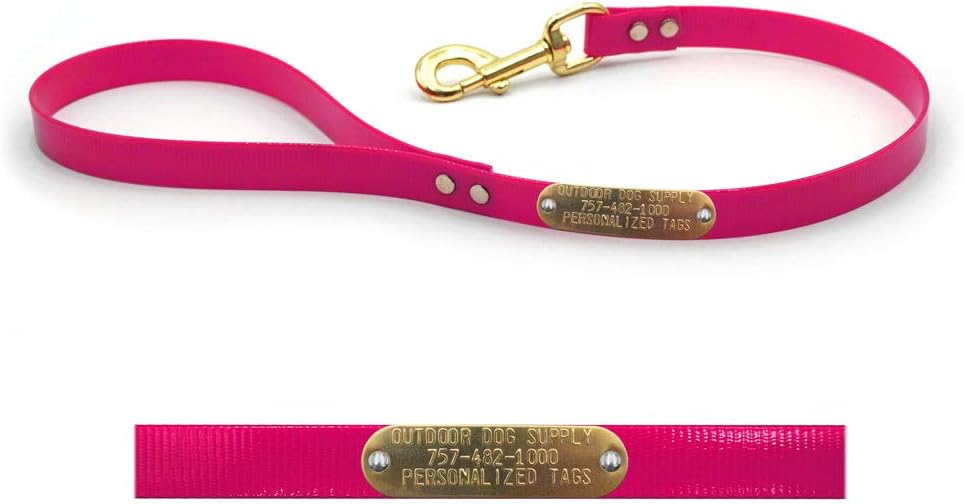 2ft DayGlow Training Bully Lead with Custom 3/4" Brass Nameplate (Black)