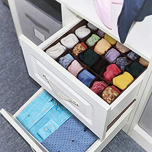 Image of HOKIPO Undergarment Organizer Storage Box for Drawers Bra Panty Socks Tie Lingerie Organizer for Wardrobe (IN-332)