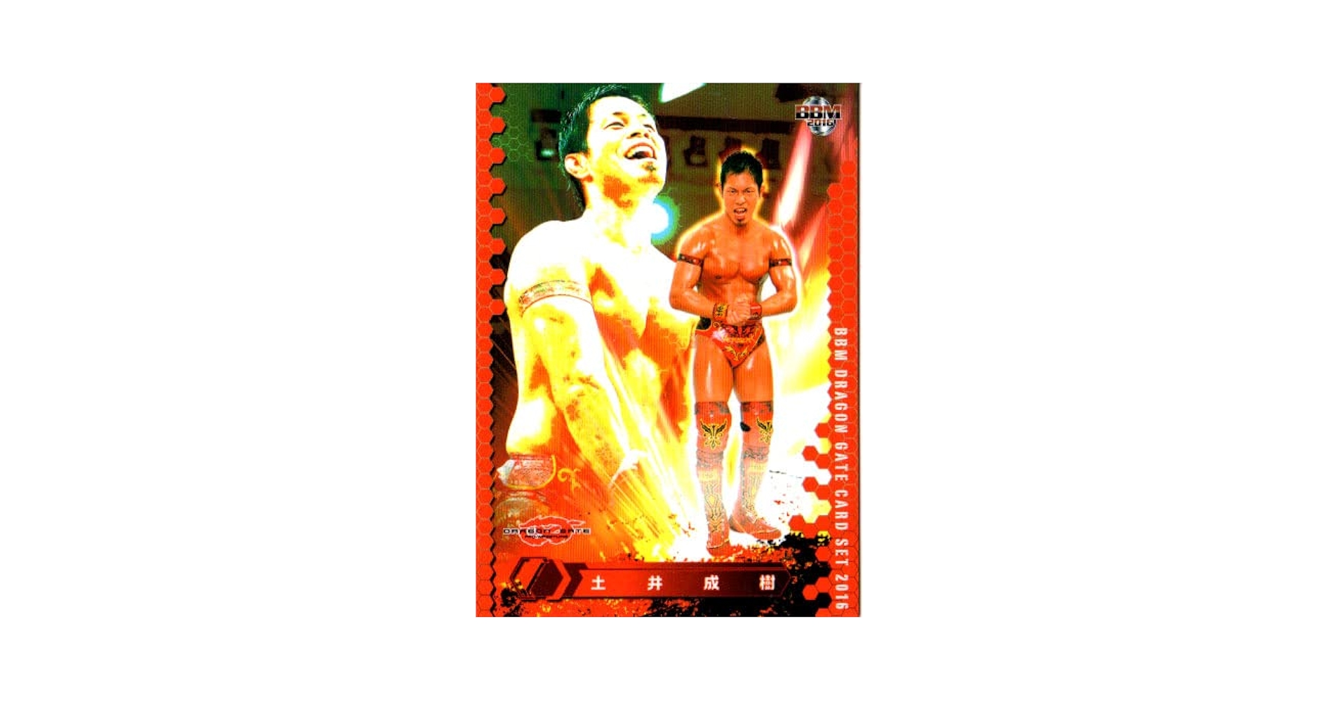 ドラゴンげーと DRAGONGATE RECORDS official web site：DRAGONGATE 2007 season 4