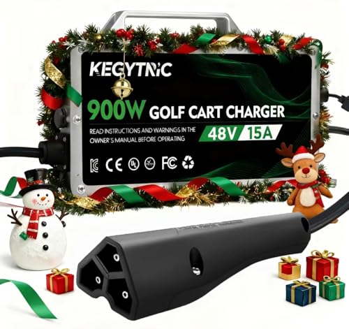 Kegytric 48V 15A Charger