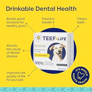 for Life Protektin42 Plantderived Dental Water Additive for Dogs Daily Dental Care Clinicallyproven Formula Naturally Fights Plaque and Tartar Refill Packet with 30 Servings  Cucciolini Doodles For life protektin42 plant derived dental water additive for dogs daily dental care clinically proven formula naturally fights plaque and tartar refill packet with 30 servings   cucciolini doodles